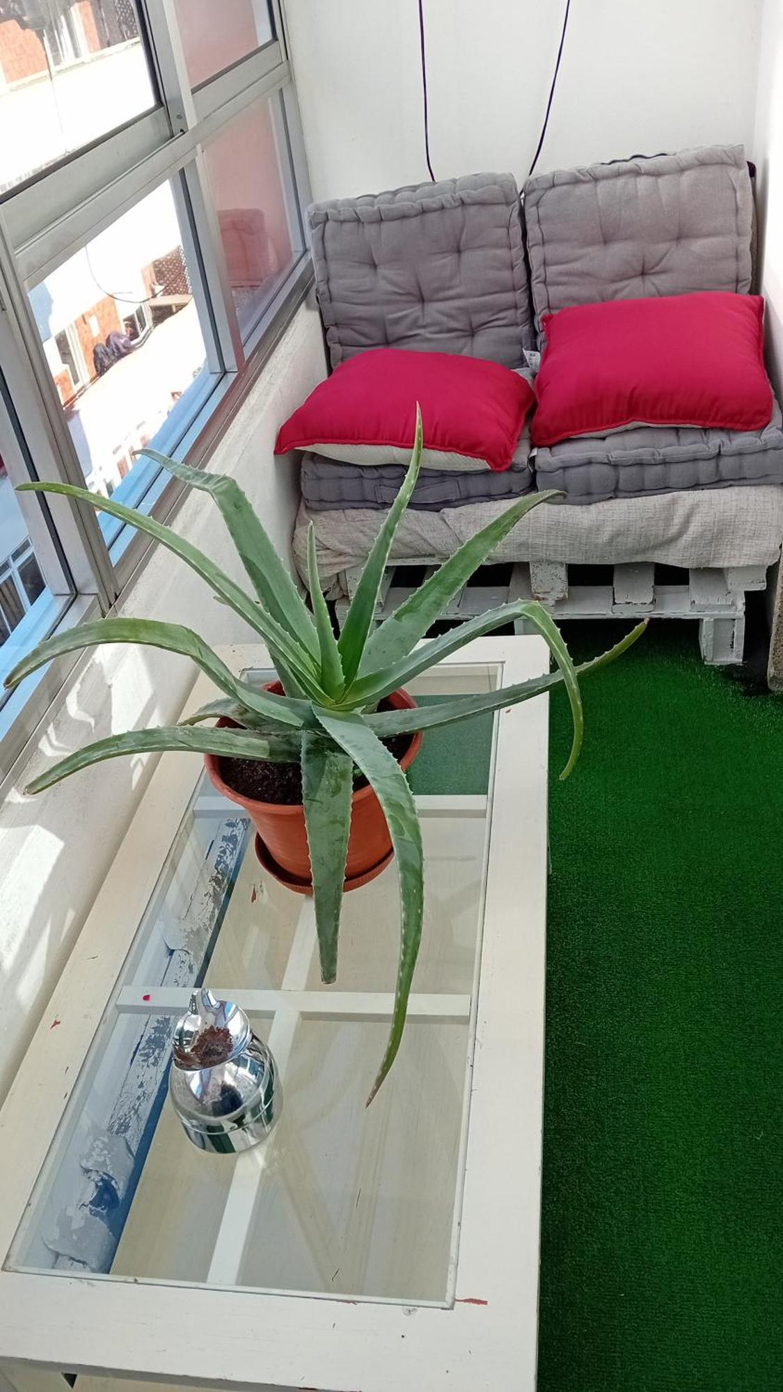 A Parada Da Ribeira Appartement Ourense